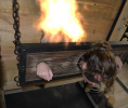 fire pillory.png