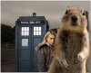 Timelordsquirrel.jpg