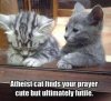 Atheist-Cat.jpg