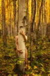 Birch-Forest-Embrace-TreeGirl-TKAweb-57ff304241178__880.jpg