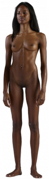 standing091ebony.png