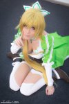 leafa7.jpg