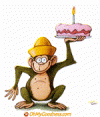 202010160459220.monkey-plays-pie (1).gif