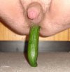 cucumber.jpg