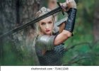 beautiful-warrior-girl-sword-armor-260nw-714611248.jpg