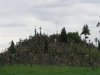 Hill of Crosses LIthuania 025.jpg