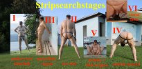 stripsearch.jpg