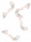 cum-background-beige-person-human-mouth-lip-transparent-png-988205.png