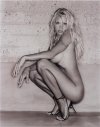 sante-d-orazio-pamela-anderson,-hollywood,-profile-1.jpg