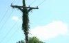 Jesus in a telephone pole.jpg