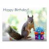 squirrel_happybirthdaysquirrel2.jpg