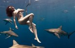 0-South-African-woman-goes-naked-with-sharks-to-save-them-620x400.jpg