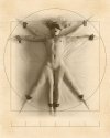 Vitruvian_Submissive_by_JHowitt.jpg