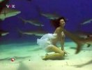 0-sg5-shark-girl-1.jpg