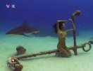 0-sg9-shark-girl-7.jpg