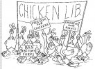 chickens_lib.jpg