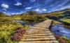 Wooden-Bridge-Scotland-beautifulwallpaper.jpg