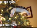 christmas-tree-cat-meme-031.jpg