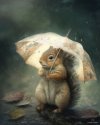 Squirrel-Rain.jpg