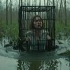 cage in the swamp.jpg