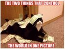 0Money-cat.jpg