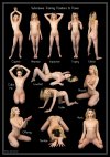 submissive_pose_chart__bobbi_by_hypnodolls.jpg