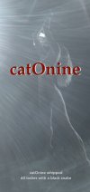 002-catOnine-CF.jpeg
