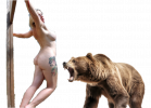 bear 06.png