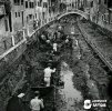 1 Cleaning Venice Great Channel, 1956.jpg