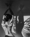 Butterfly shadows.jpg