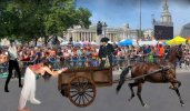 Pippa Public Cart Tail Flogging - At least it's not Tyburn.JPG