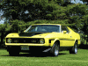 1971 Mustang Super Cobra.gif