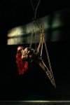 0-shibari-the-dancer.jpg