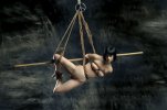 0-shibari-bondage-fetish-rope-corde.jpg