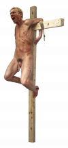 Body (629d).png