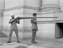 0-punt-gun 800.jpg