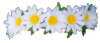 flowercrown3.png