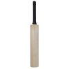 cricket-bat.jpg