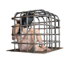 cage003.png