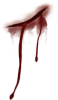 blood drip9.png