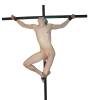 Male_crux (8).png