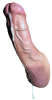 dick (3).png