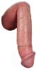 dick (6).png