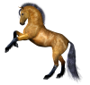 horse046.png