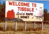 tisdale.jpg