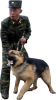 dog.png