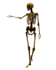 Skeleton044.png