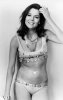 diana_rigg_diana_rigg_OgC8Tg6.sized.jpg