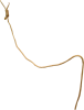 rope10.png