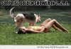 funny-dog-golden-shower-girl-sunbathing-pics.jpg